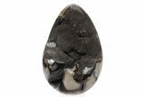Septarian Dragon Egg Geode - Black Crystals #241554-1